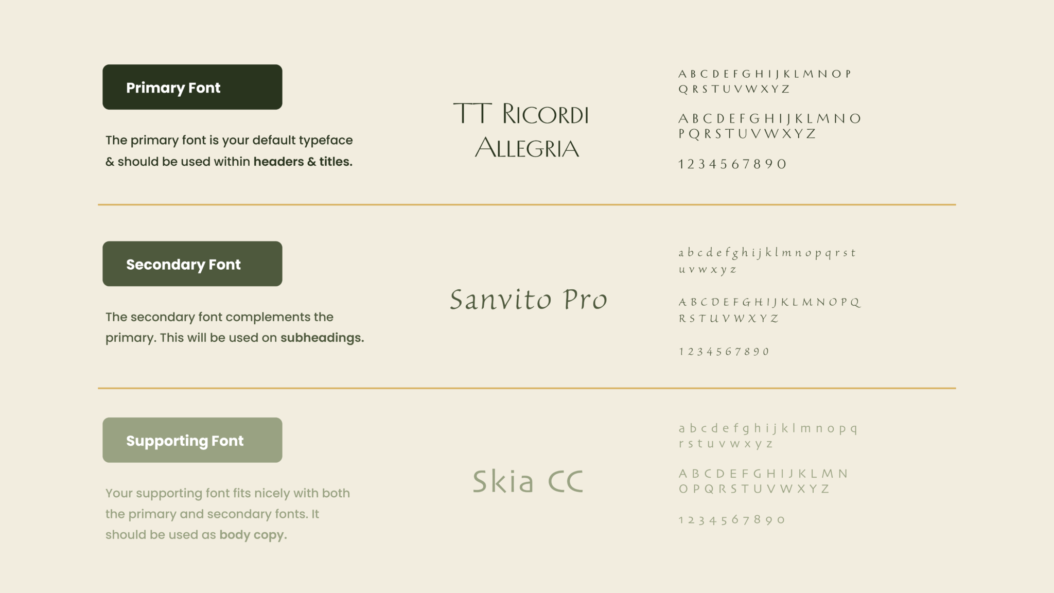 Divine Beauty Brand Presentation_Artboard 12