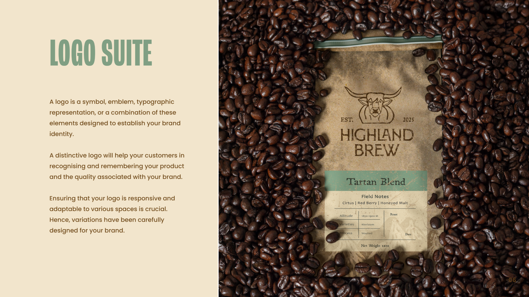 Highland Brand Presentation_Artboard 6